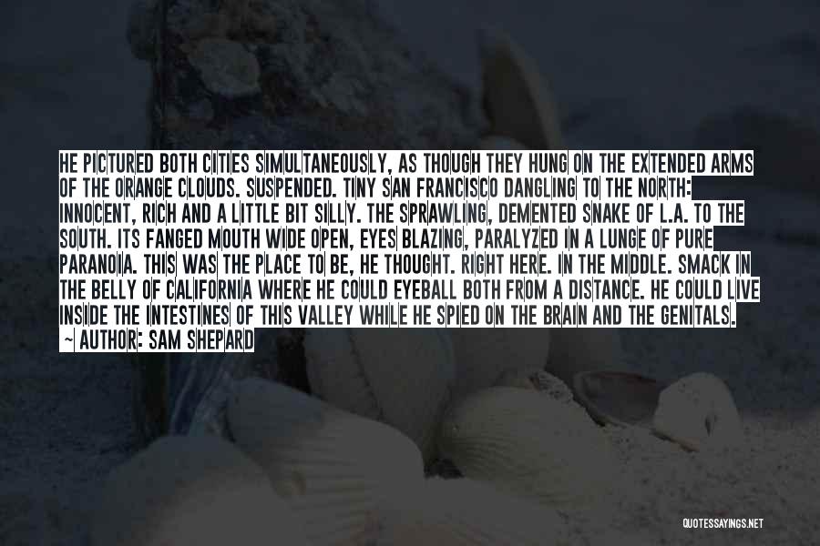 Sam Shepard Quotes: He Pictured Both Cities Simultaneously, As Though They Hung On The Extended Arms Of The Orange Clouds. Suspended. Tiny San