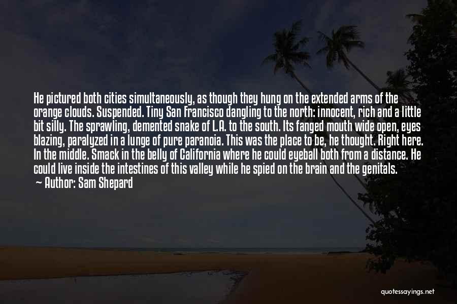Sam Shepard Quotes: He Pictured Both Cities Simultaneously, As Though They Hung On The Extended Arms Of The Orange Clouds. Suspended. Tiny San