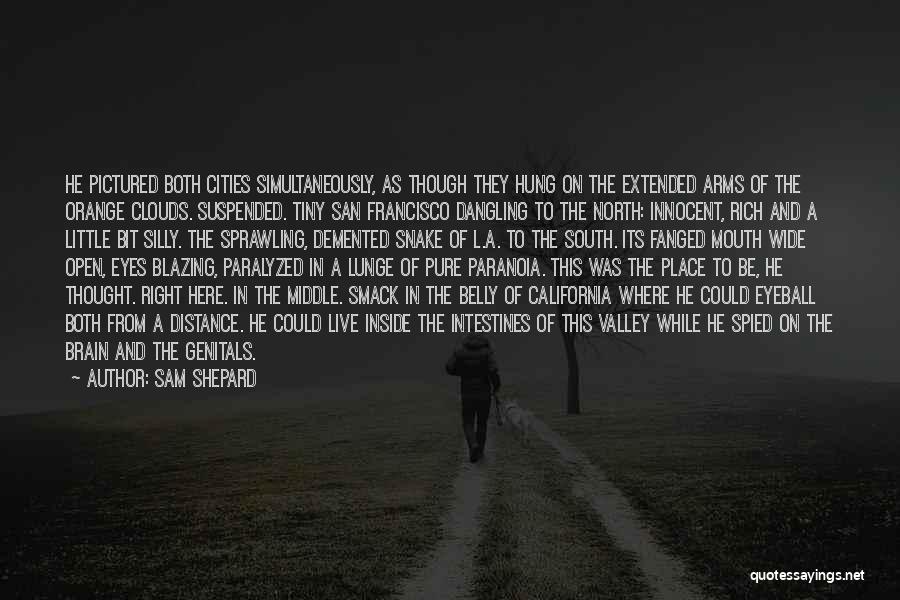 Sam Shepard Quotes: He Pictured Both Cities Simultaneously, As Though They Hung On The Extended Arms Of The Orange Clouds. Suspended. Tiny San