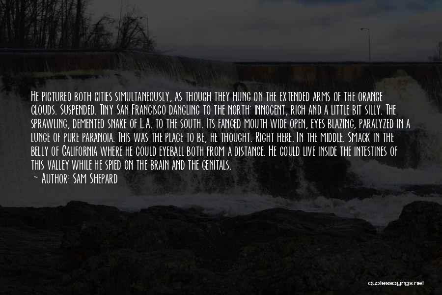 Sam Shepard Quotes: He Pictured Both Cities Simultaneously, As Though They Hung On The Extended Arms Of The Orange Clouds. Suspended. Tiny San