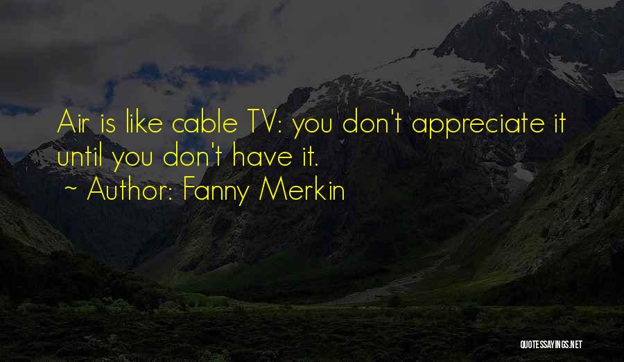 Fanny Merkin Quotes: Air Is Like Cable Tv: You Don't Appreciate It Until You Don't Have It.
