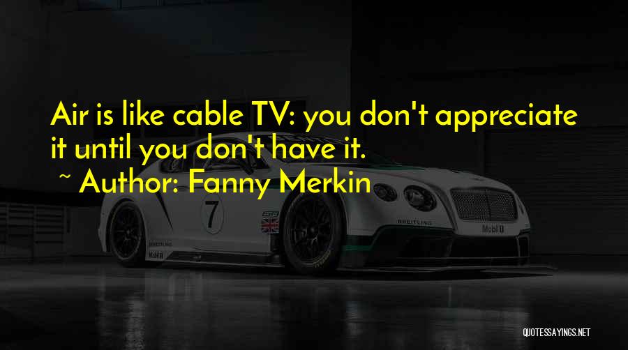 Fanny Merkin Quotes: Air Is Like Cable Tv: You Don't Appreciate It Until You Don't Have It.