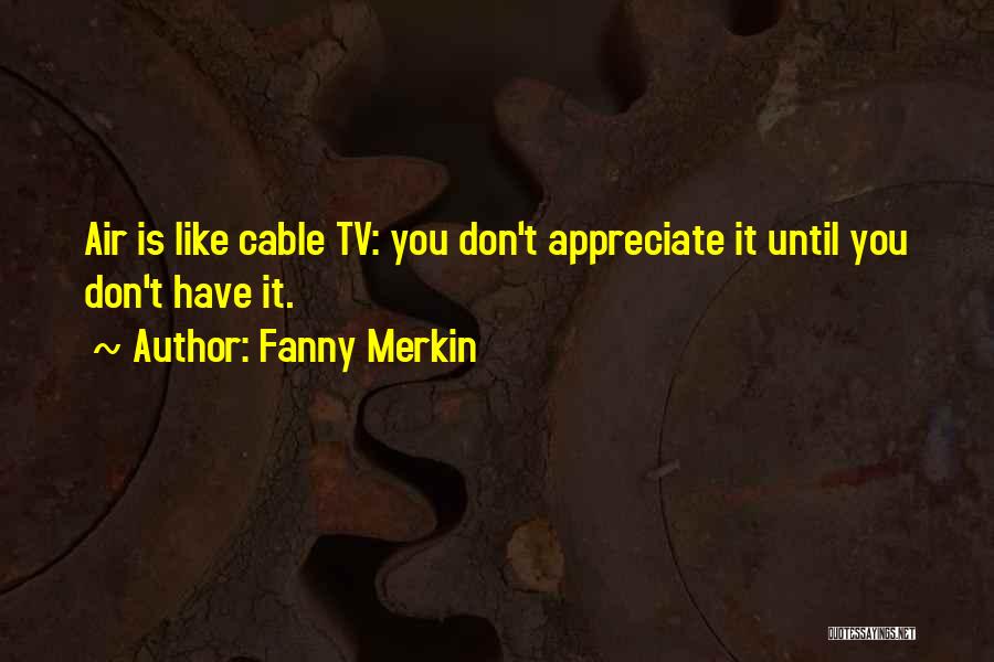 Fanny Merkin Quotes: Air Is Like Cable Tv: You Don't Appreciate It Until You Don't Have It.