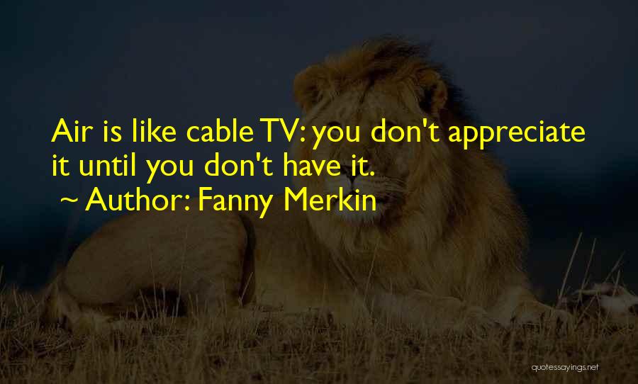 Fanny Merkin Quotes: Air Is Like Cable Tv: You Don't Appreciate It Until You Don't Have It.