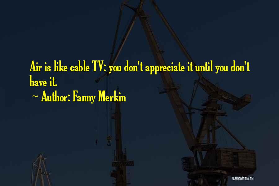 Fanny Merkin Quotes: Air Is Like Cable Tv: You Don't Appreciate It Until You Don't Have It.