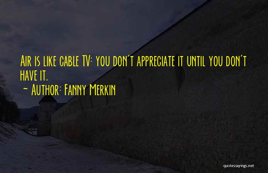 Fanny Merkin Quotes: Air Is Like Cable Tv: You Don't Appreciate It Until You Don't Have It.