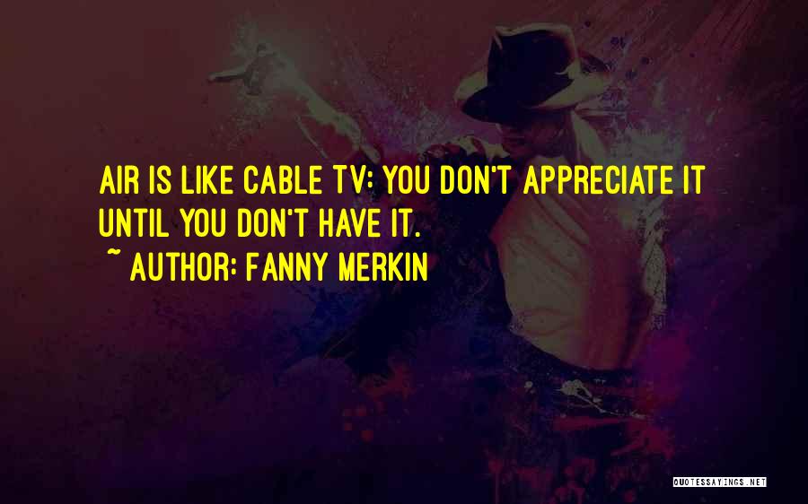 Fanny Merkin Quotes: Air Is Like Cable Tv: You Don't Appreciate It Until You Don't Have It.