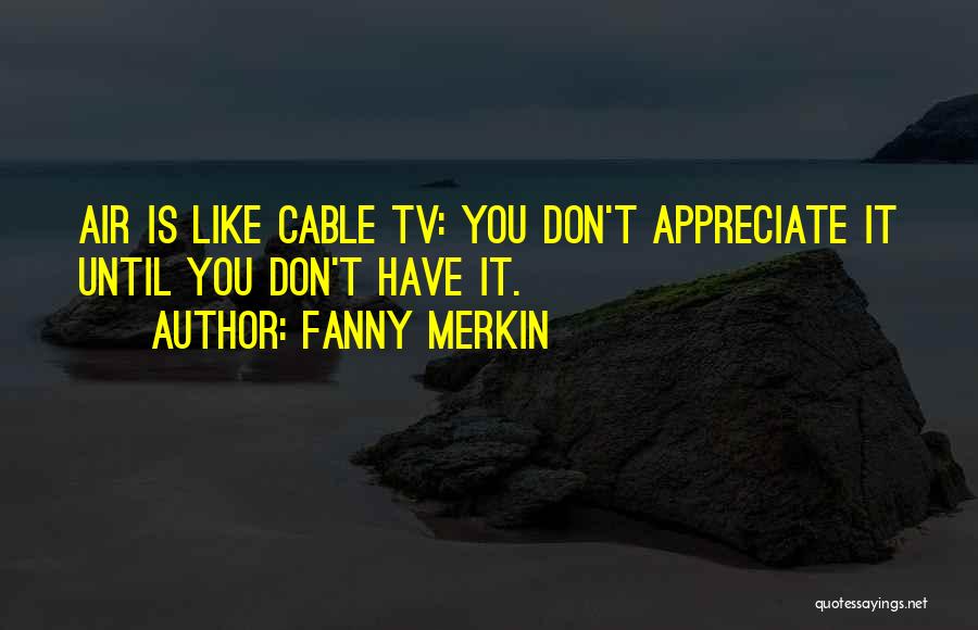 Fanny Merkin Quotes: Air Is Like Cable Tv: You Don't Appreciate It Until You Don't Have It.