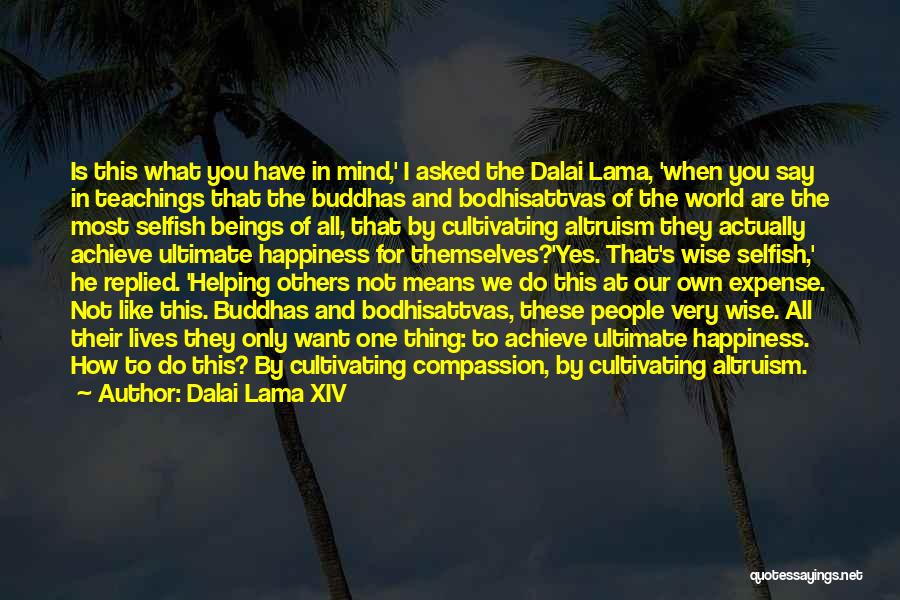 Dalai Lama XIV Quotes: Is This What You Have In Mind,' I Asked The Dalai Lama, 'when You Say In Teachings That The Buddhas