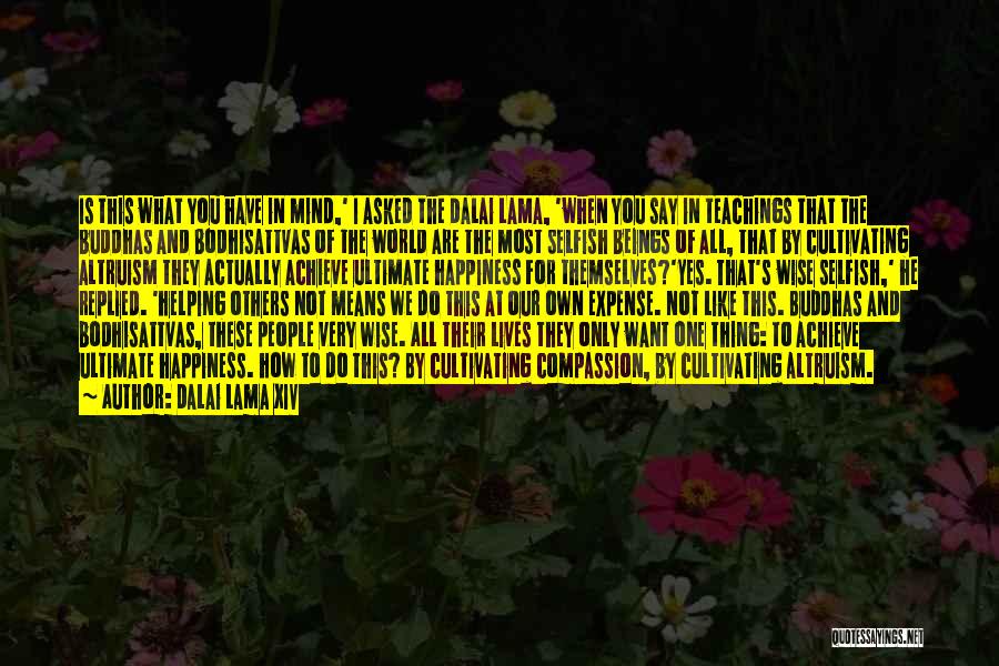 Dalai Lama XIV Quotes: Is This What You Have In Mind,' I Asked The Dalai Lama, 'when You Say In Teachings That The Buddhas