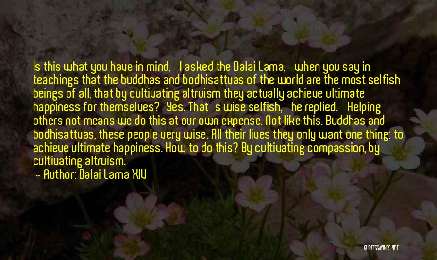 Dalai Lama XIV Quotes: Is This What You Have In Mind,' I Asked The Dalai Lama, 'when You Say In Teachings That The Buddhas