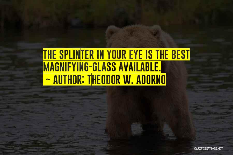 Theodor W. Adorno Quotes: The Splinter In Your Eye Is The Best Magnifying-glass Available.