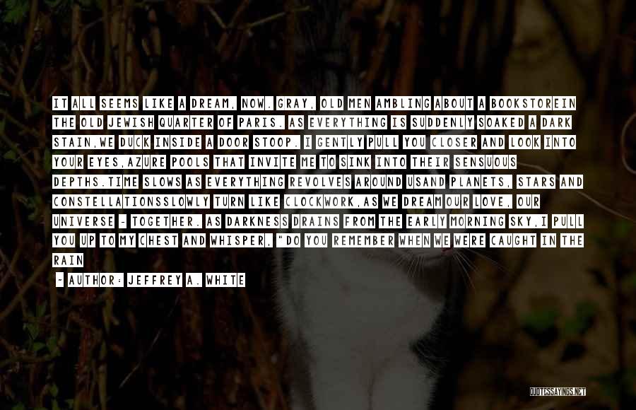 Jeffrey A. White Quotes: It All Seems Like A Dream, Now. Gray, Old Men Ambling About A Bookstorein The Old Jewish Quarter Of Paris.