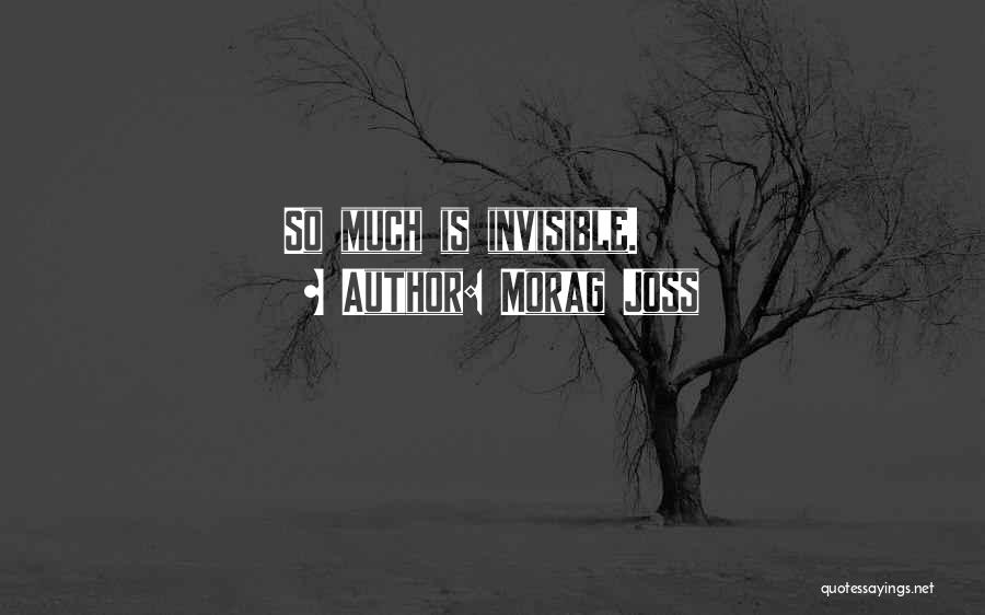 Morag Joss Quotes: So Much Is Invisible.