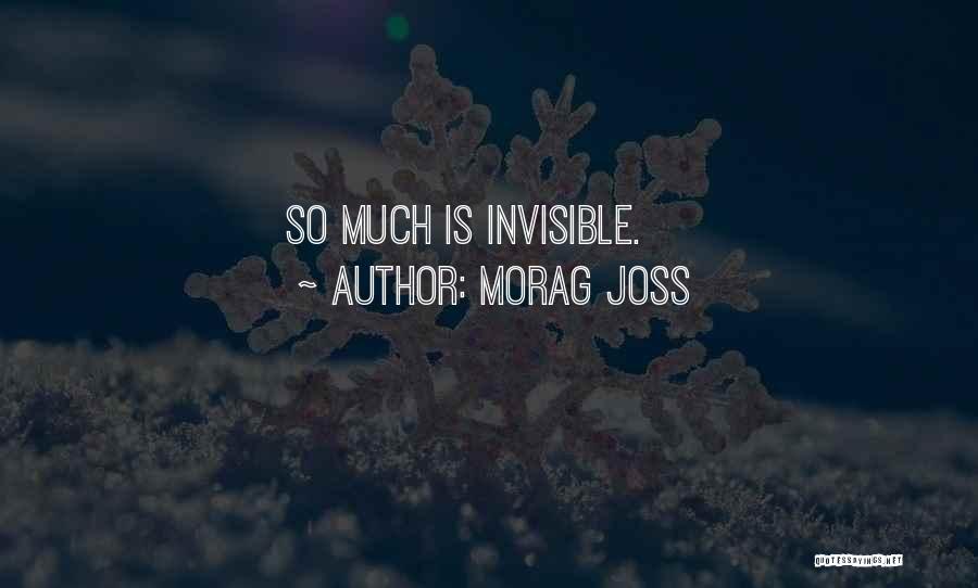 Morag Joss Quotes: So Much Is Invisible.