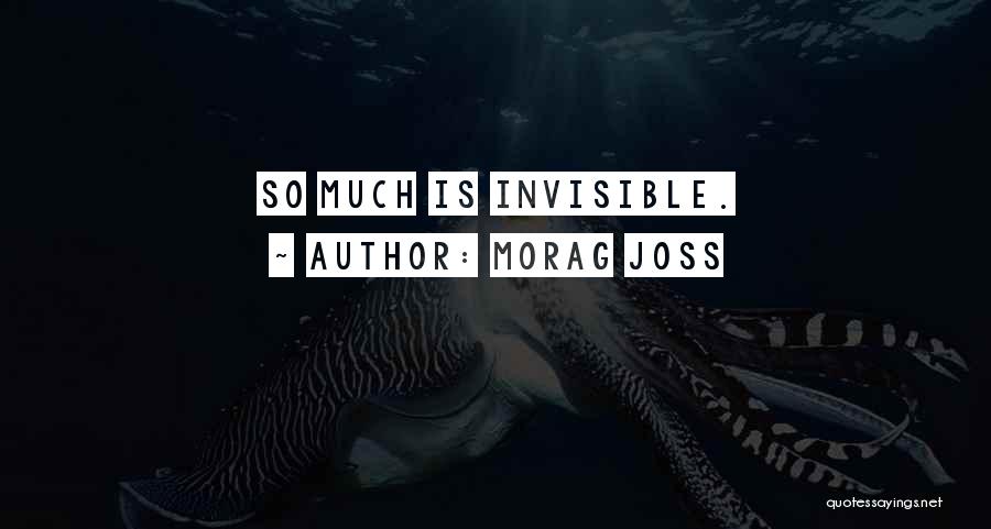 Morag Joss Quotes: So Much Is Invisible.
