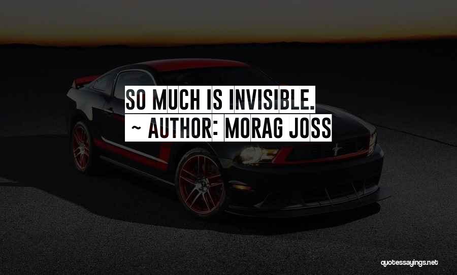 Morag Joss Quotes: So Much Is Invisible.