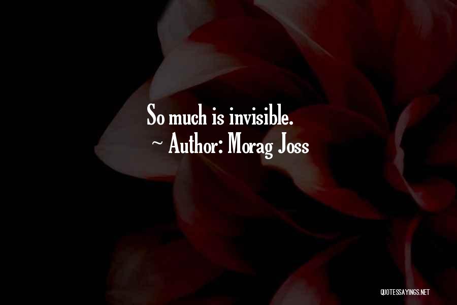 Morag Joss Quotes: So Much Is Invisible.