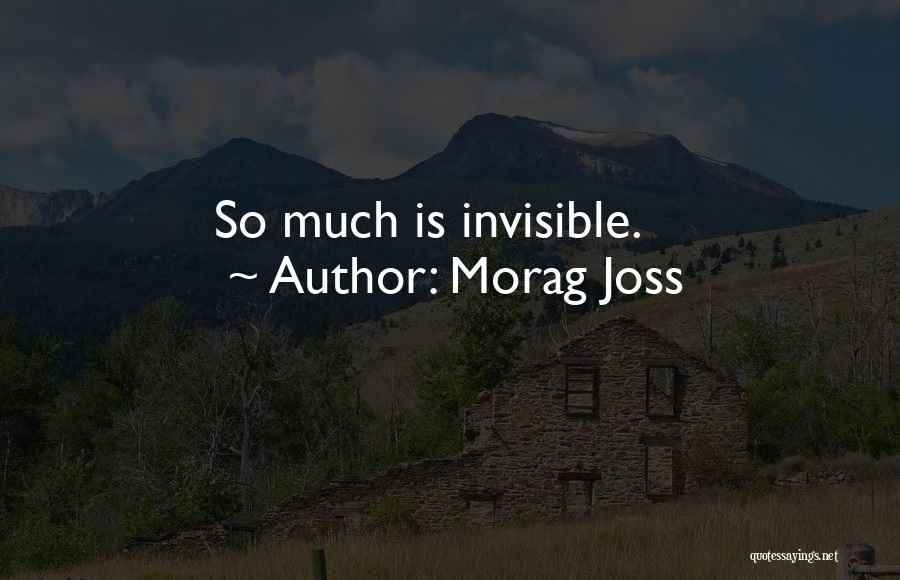 Morag Joss Quotes: So Much Is Invisible.