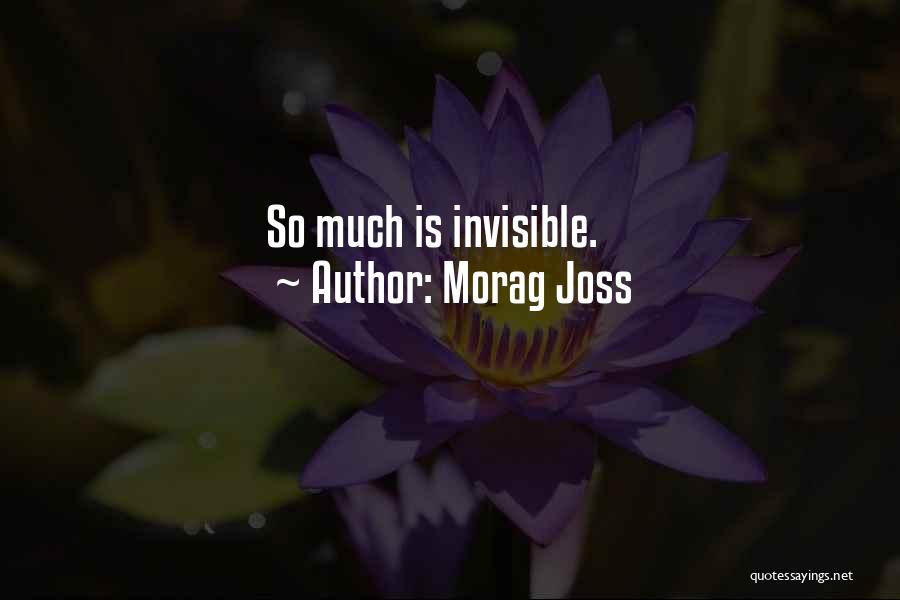 Morag Joss Quotes: So Much Is Invisible.