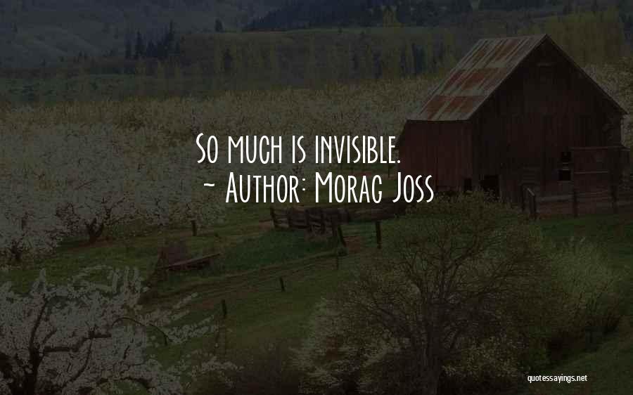 Morag Joss Quotes: So Much Is Invisible.