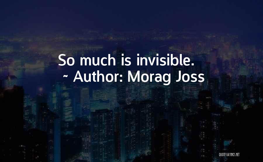 Morag Joss Quotes: So Much Is Invisible.