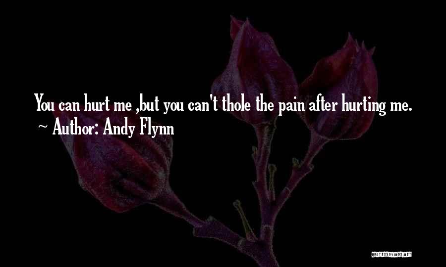 Andy Flynn Quotes: You Can Hurt Me ,but You Can't Thole The Pain After Hurting Me.