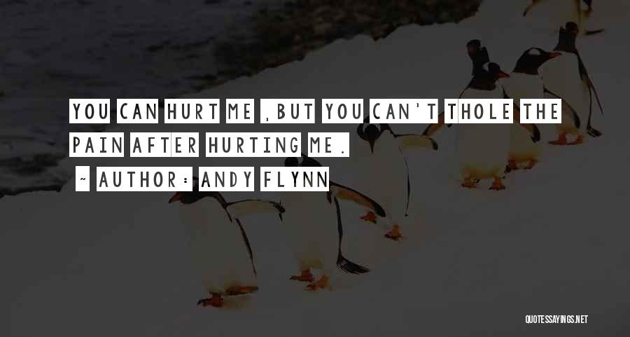 Andy Flynn Quotes: You Can Hurt Me ,but You Can't Thole The Pain After Hurting Me.