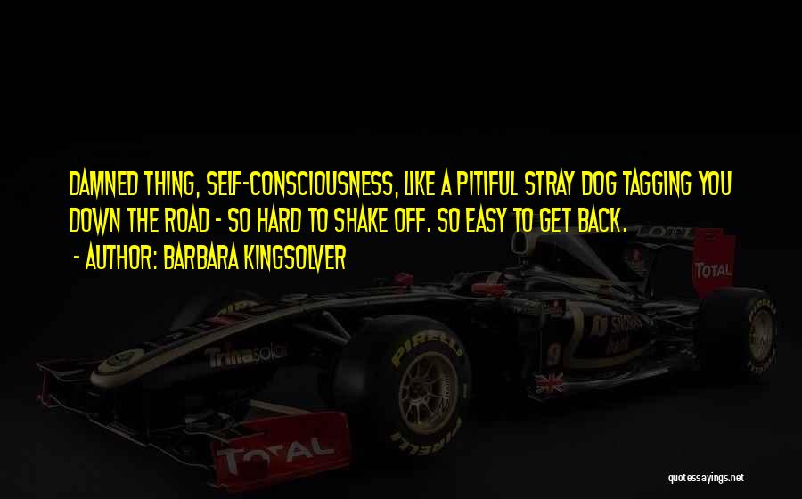 Barbara Kingsolver Quotes: Damned Thing, Self-consciousness, Like A Pitiful Stray Dog Tagging You Down The Road - So Hard To Shake Off. So