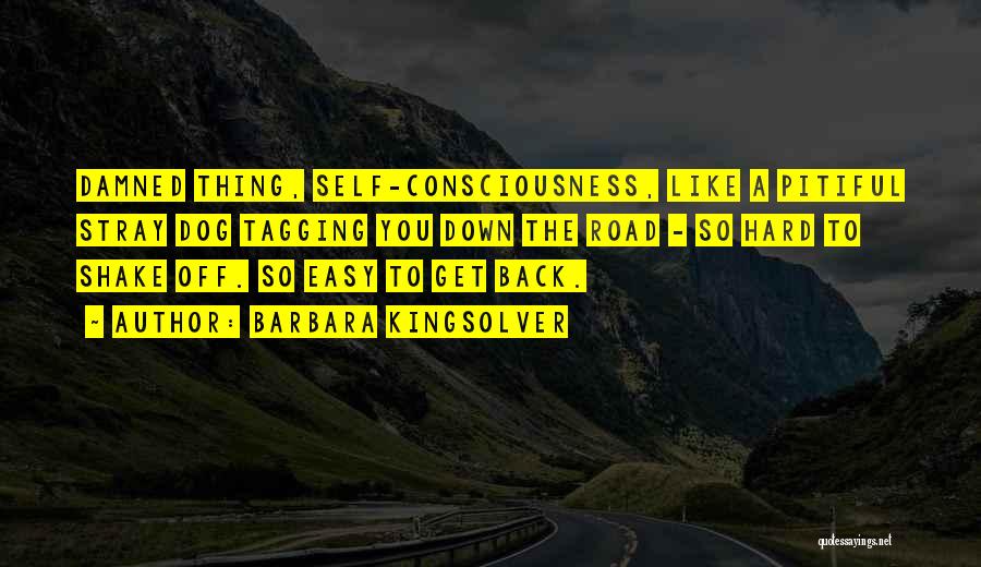 Barbara Kingsolver Quotes: Damned Thing, Self-consciousness, Like A Pitiful Stray Dog Tagging You Down The Road - So Hard To Shake Off. So