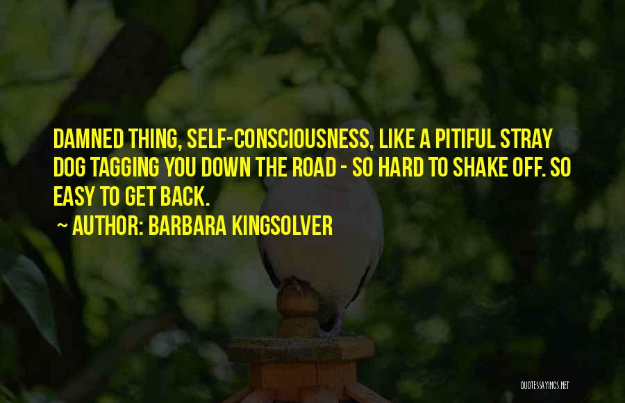 Barbara Kingsolver Quotes: Damned Thing, Self-consciousness, Like A Pitiful Stray Dog Tagging You Down The Road - So Hard To Shake Off. So