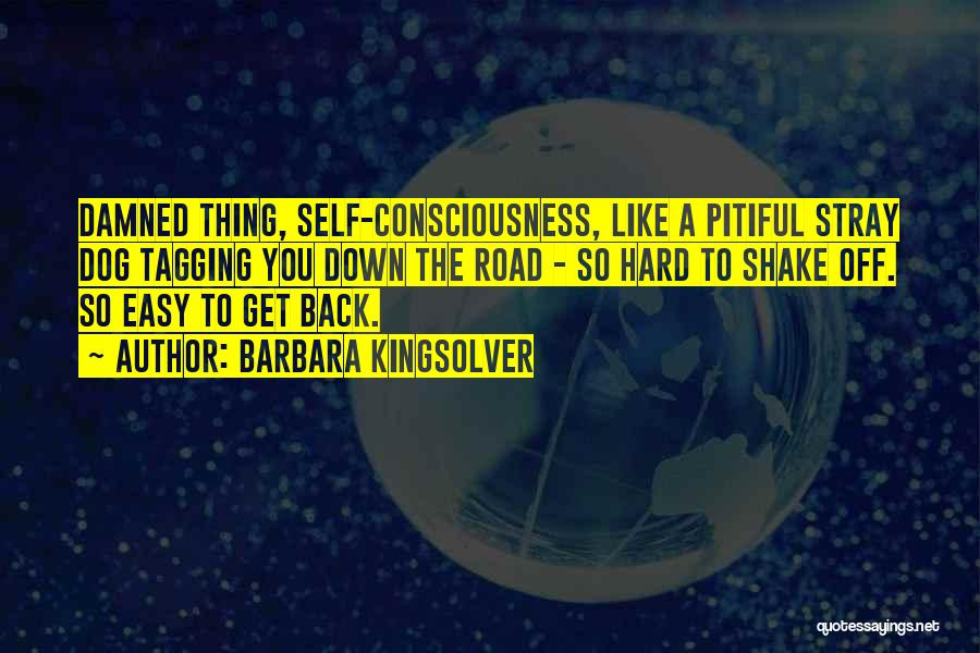 Barbara Kingsolver Quotes: Damned Thing, Self-consciousness, Like A Pitiful Stray Dog Tagging You Down The Road - So Hard To Shake Off. So