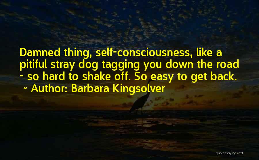 Barbara Kingsolver Quotes: Damned Thing, Self-consciousness, Like A Pitiful Stray Dog Tagging You Down The Road - So Hard To Shake Off. So