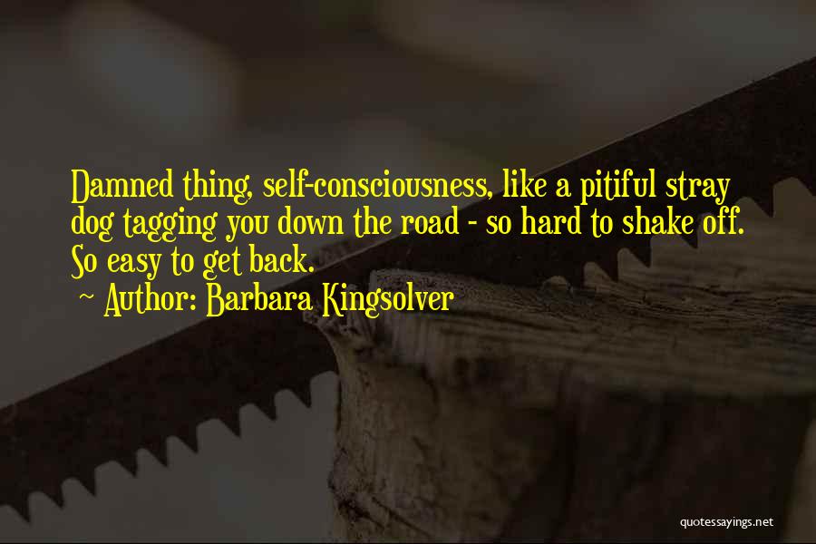 Barbara Kingsolver Quotes: Damned Thing, Self-consciousness, Like A Pitiful Stray Dog Tagging You Down The Road - So Hard To Shake Off. So