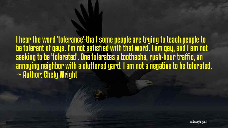 Chely Wright Quotes: I Hear The Word 'tolerance'-tha T Some People Are Trying To Teach People To Be Tolerant Of Gays. I'm Not