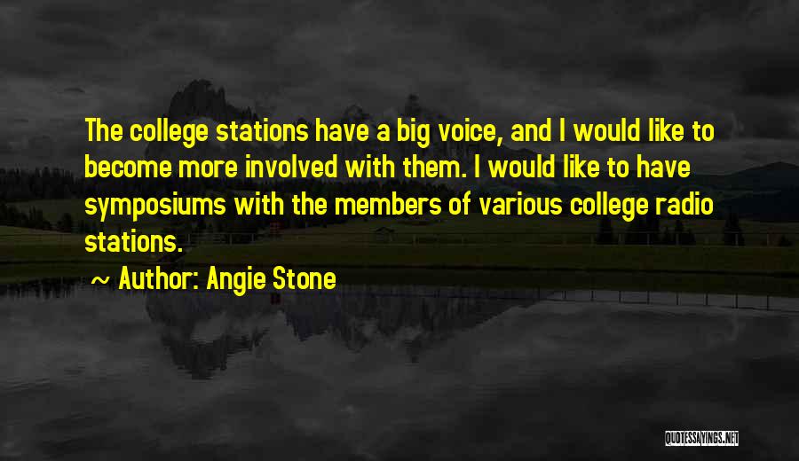 Angie Stone Quotes: The College Stations Have A Big Voice, And I Would Like To Become More Involved With Them. I Would Like