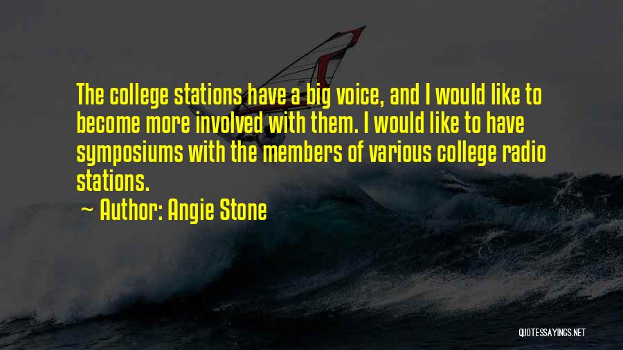 Angie Stone Quotes: The College Stations Have A Big Voice, And I Would Like To Become More Involved With Them. I Would Like