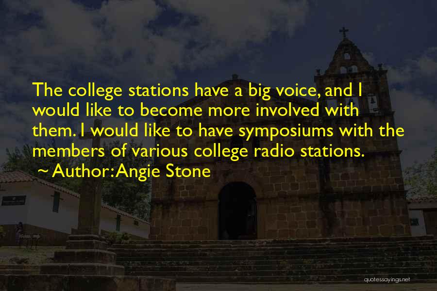 Angie Stone Quotes: The College Stations Have A Big Voice, And I Would Like To Become More Involved With Them. I Would Like