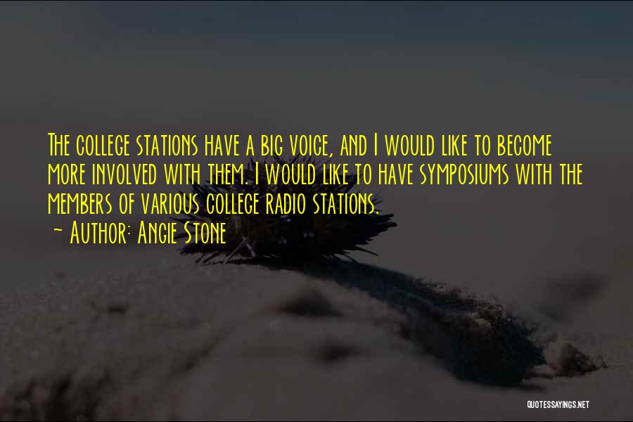 Angie Stone Quotes: The College Stations Have A Big Voice, And I Would Like To Become More Involved With Them. I Would Like