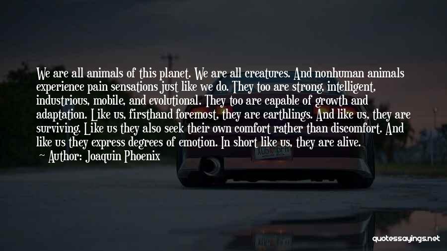 Joaquin Phoenix Quotes: We Are All Animals Of This Planet. We Are All Creatures. And Nonhuman Animals Experience Pain Sensations Just Like We