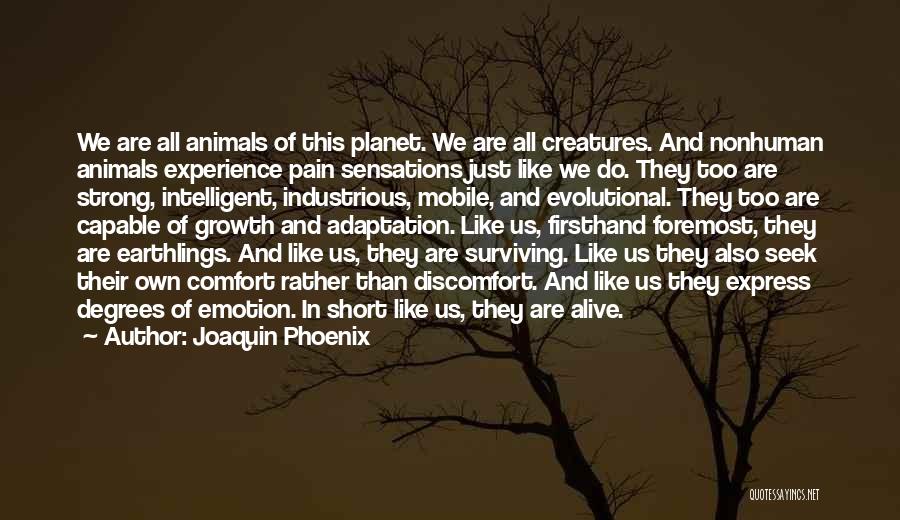 Joaquin Phoenix Quotes: We Are All Animals Of This Planet. We Are All Creatures. And Nonhuman Animals Experience Pain Sensations Just Like We