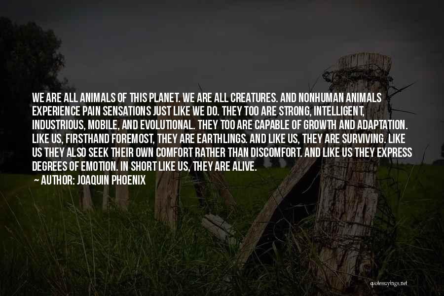 Joaquin Phoenix Quotes: We Are All Animals Of This Planet. We Are All Creatures. And Nonhuman Animals Experience Pain Sensations Just Like We