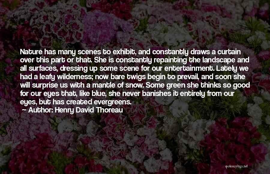 Henry David Thoreau Quotes: Nature Has Many Scenes To Exhibit, And Constantly Draws A Curtain Over This Part Or That. She Is Constantly Repainting