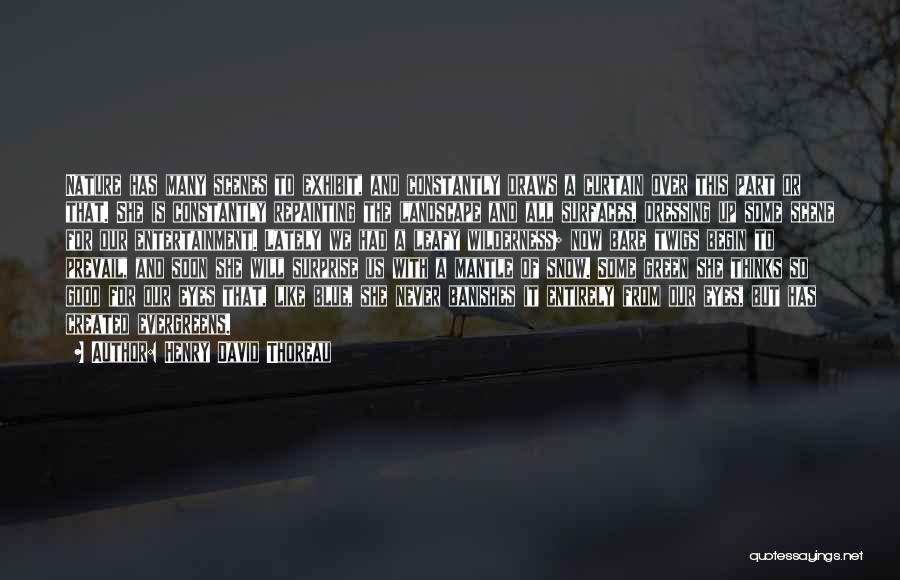 Henry David Thoreau Quotes: Nature Has Many Scenes To Exhibit, And Constantly Draws A Curtain Over This Part Or That. She Is Constantly Repainting