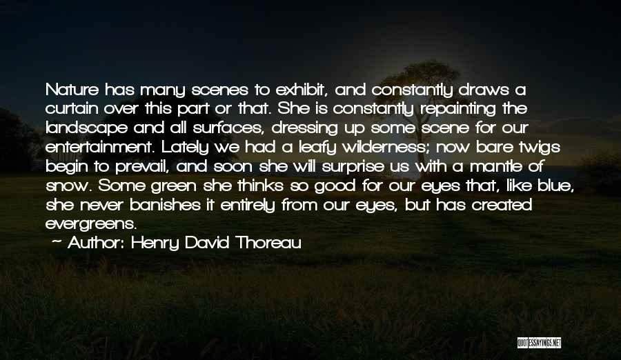 Henry David Thoreau Quotes: Nature Has Many Scenes To Exhibit, And Constantly Draws A Curtain Over This Part Or That. She Is Constantly Repainting