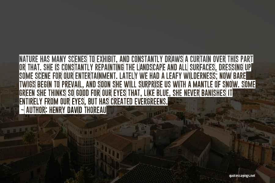 Henry David Thoreau Quotes: Nature Has Many Scenes To Exhibit, And Constantly Draws A Curtain Over This Part Or That. She Is Constantly Repainting