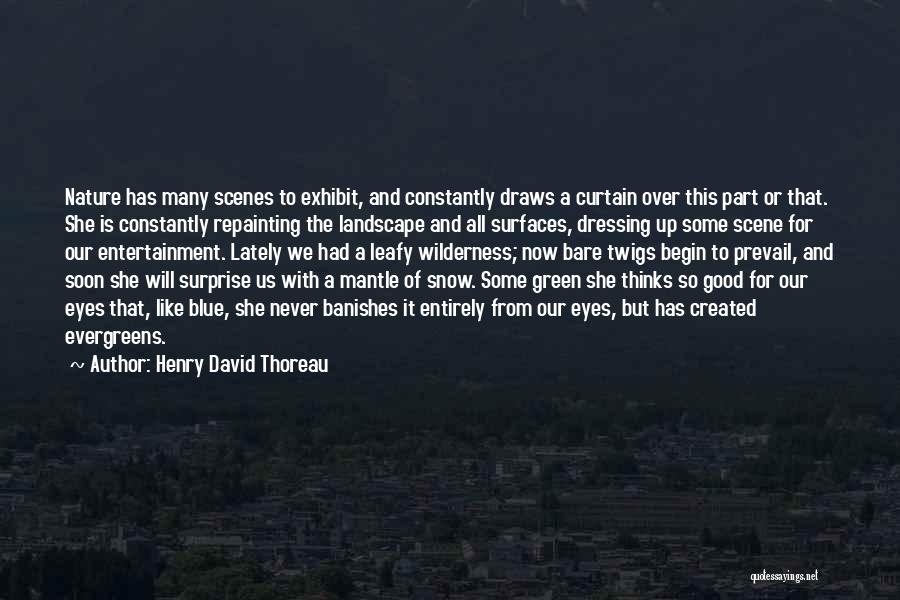 Henry David Thoreau Quotes: Nature Has Many Scenes To Exhibit, And Constantly Draws A Curtain Over This Part Or That. She Is Constantly Repainting