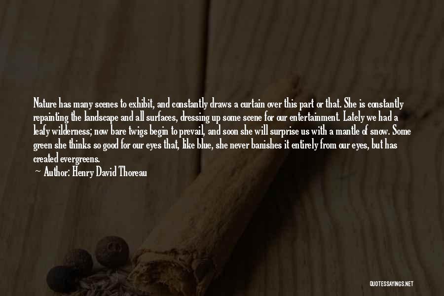 Henry David Thoreau Quotes: Nature Has Many Scenes To Exhibit, And Constantly Draws A Curtain Over This Part Or That. She Is Constantly Repainting