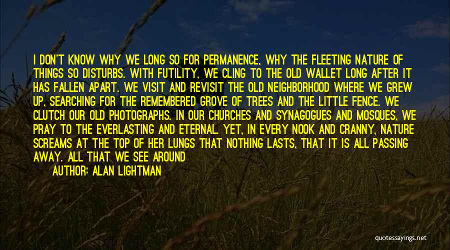 Alan Lightman Quotes: I Don't Know Why We Long So For Permanence, Why The Fleeting Nature Of Things So Disturbs. With Futility, We