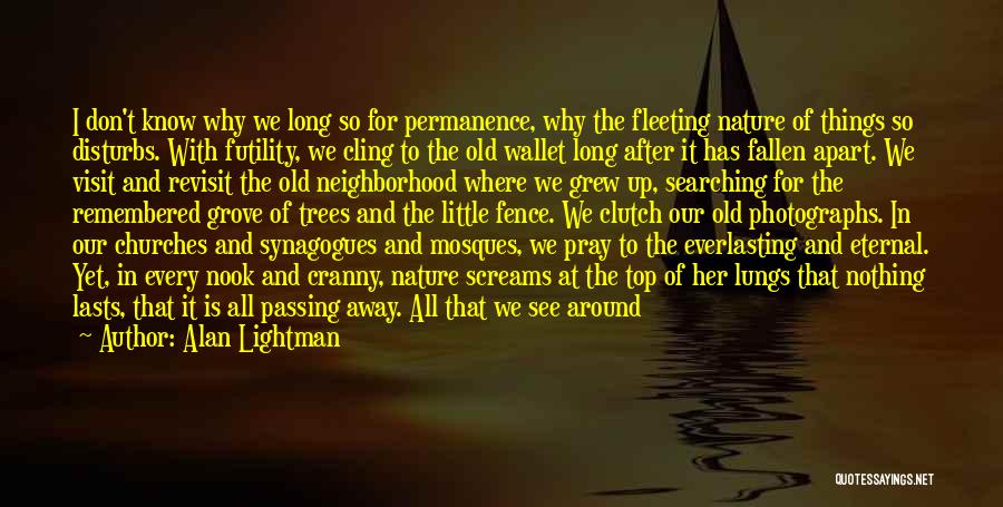 Alan Lightman Quotes: I Don't Know Why We Long So For Permanence, Why The Fleeting Nature Of Things So Disturbs. With Futility, We